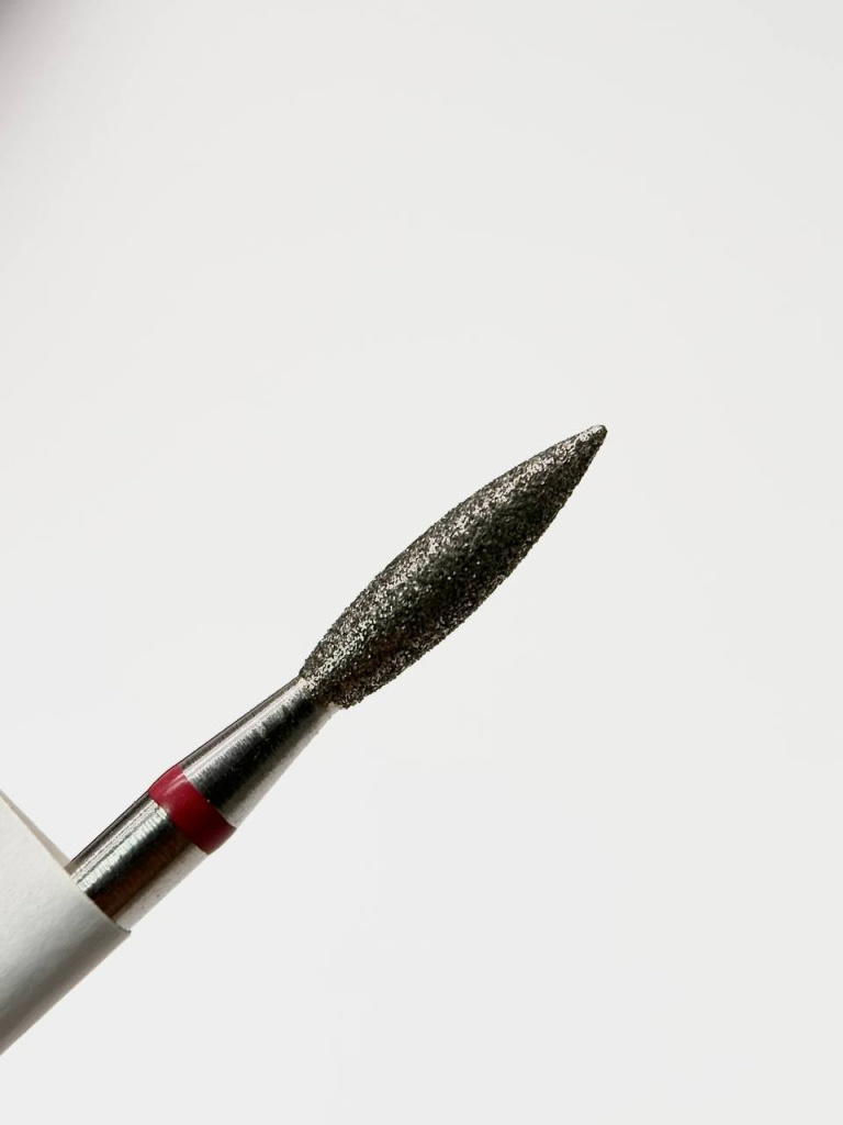 photo_2026-02-26_14-19-11